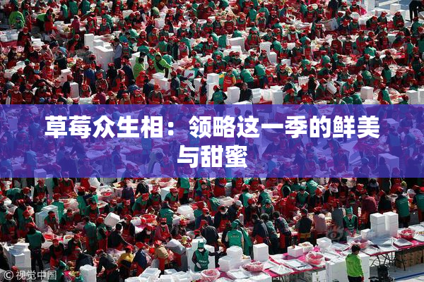 草莓众生相：领略这一季的鲜美与甜蜜