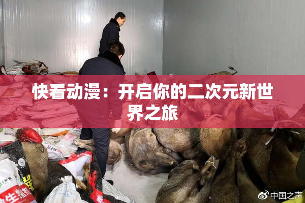 快看动漫：开启你的二次元新世界之旅