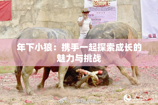 年下小狼：携手一起探索成长的魅力与挑战