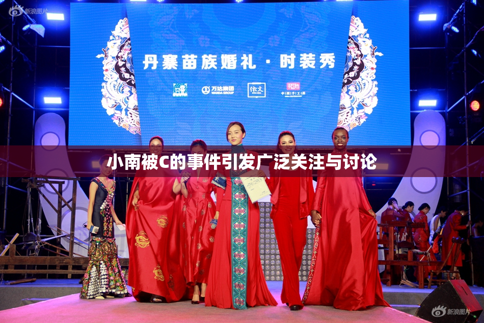 小南被C的事件引发广泛关注与讨论
