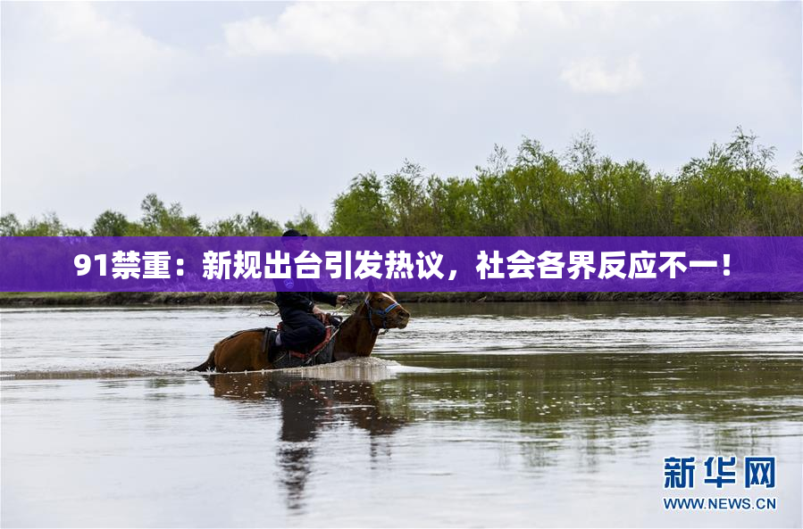 91禁重：新规出台引发热议，社会各界反应不一！