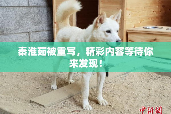 秦淮茹被重写，精彩内容等待你来发现！