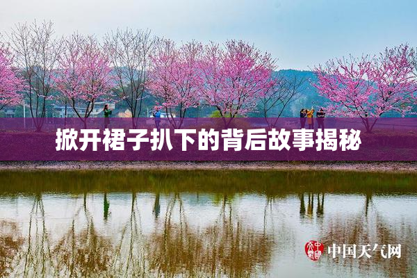掀开裙子扒下的背后故事揭秘