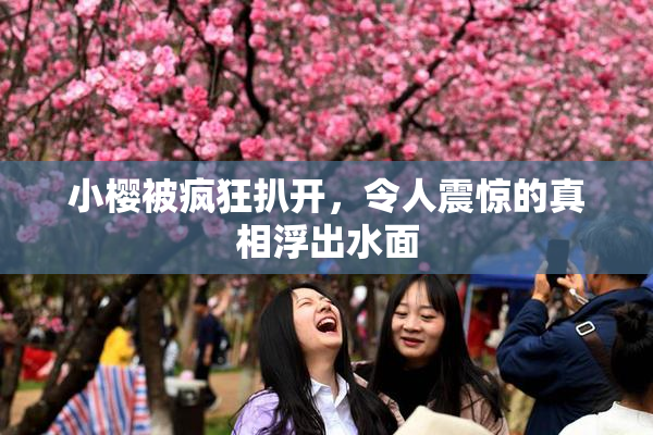 小樱被疯狂扒开，令人震惊的真相浮出水面