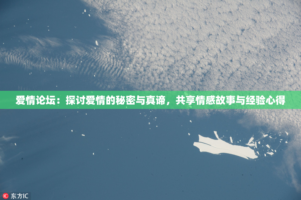 爱情论坛：探讨爱情的秘密与真谛，共享情感故事与经验心得