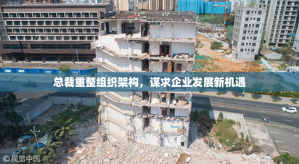 总裁重整组织架构，谋求企业发展新机遇