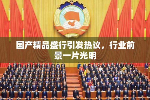 国产精品盛行引发热议，行业前景一片光明
