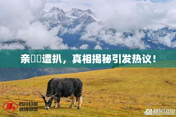 亲妺妺遭扒，真相揭秘引发热议！