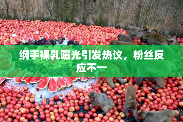 纲手裸乳曝光引发热议，粉丝反应不一