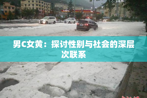男C女黄：探讨性别与社会的深层次联系