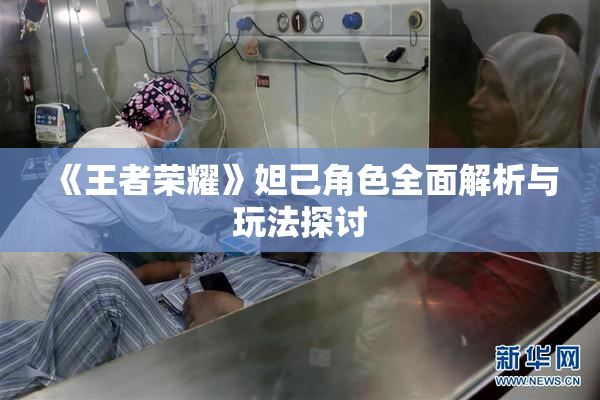 《王者荣耀》妲己角色全面解析与玩法探讨