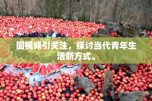 国视频引关注，探讨当代青年生活新方式。