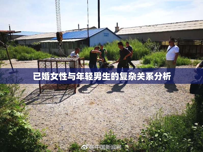 已婚女性与年轻男生的复杂关系分析