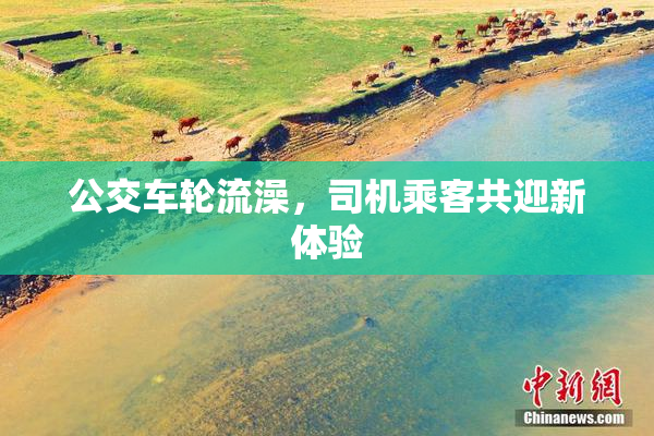 公交车轮流澡，司机乘客共迎新体验