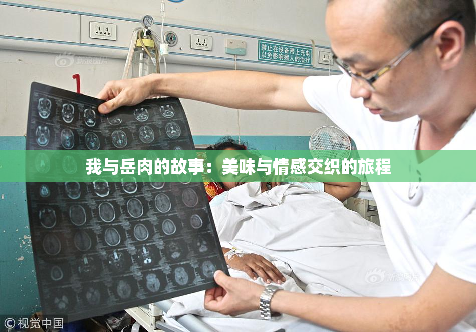 我与岳肉的故事：美味与情感交织的旅程