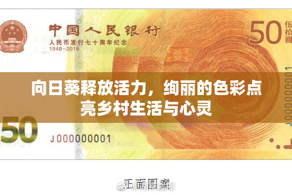 向日葵释放活力，绚丽的色彩点亮乡村生活与心灵