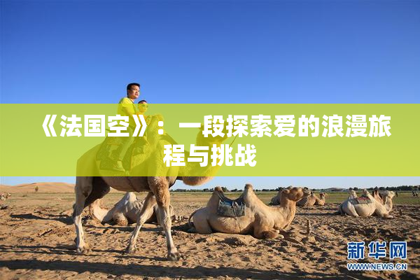 《法国空》：一段探索爱的浪漫旅程与挑战