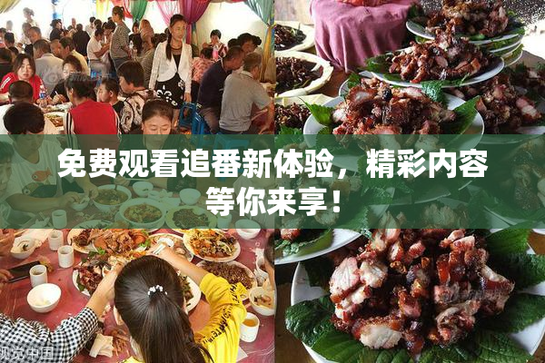 免费观看追番新体验，精彩内容等你来享！