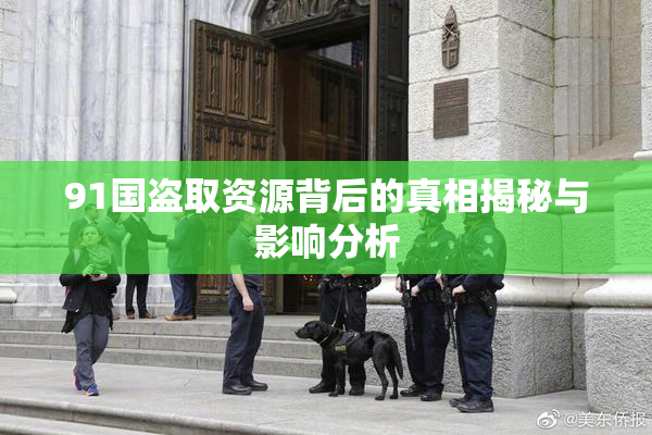 91国盗取资源背后的真相揭秘与影响分析
