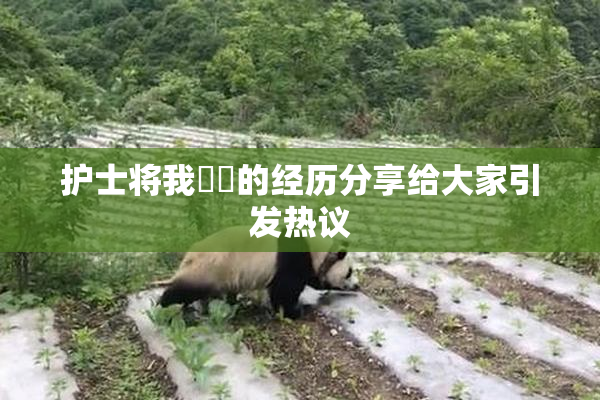 护士将我亅亅的经历分享给大家引发热议
