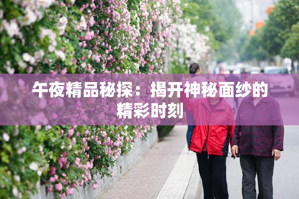 午夜精品秘探：揭开神秘面纱的精彩时刻