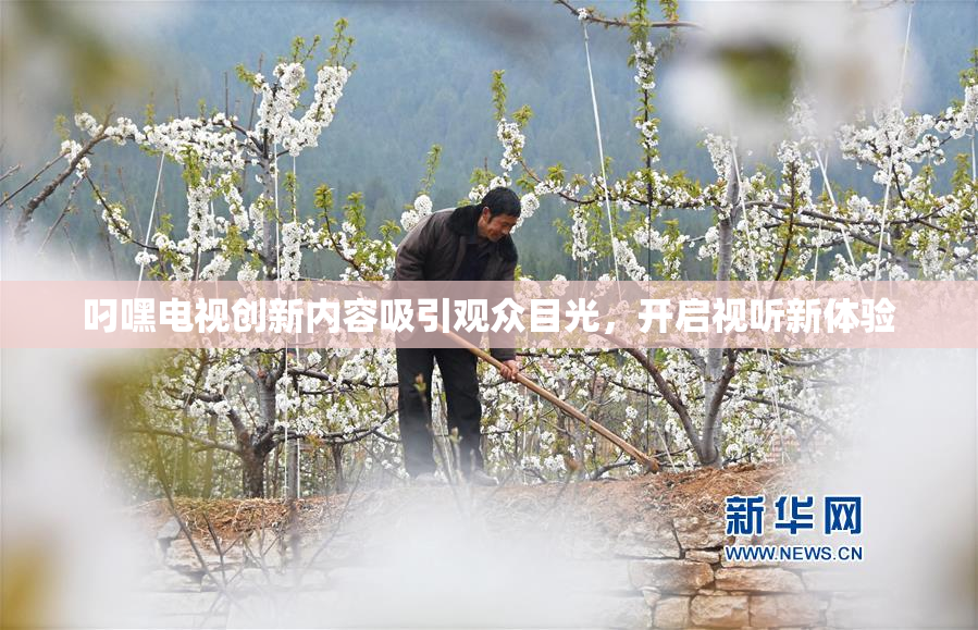 叼嘿电视创新内容吸引观众目光，开启视听新体验