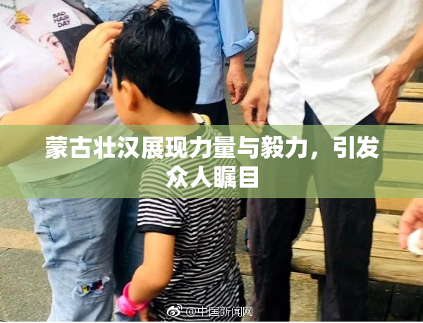 蒙古壮汉展现力量与毅力，引发众人瞩目