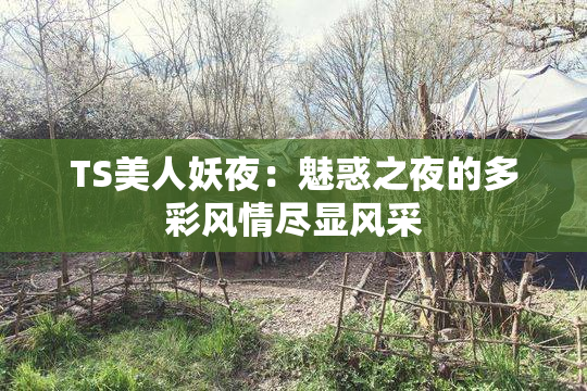 TS美人妖夜：魅惑之夜的多彩风情尽显风采