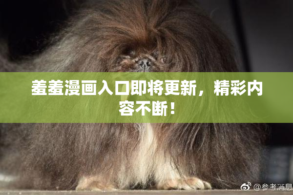 羞羞漫画入口即将更新，精彩内容不断！