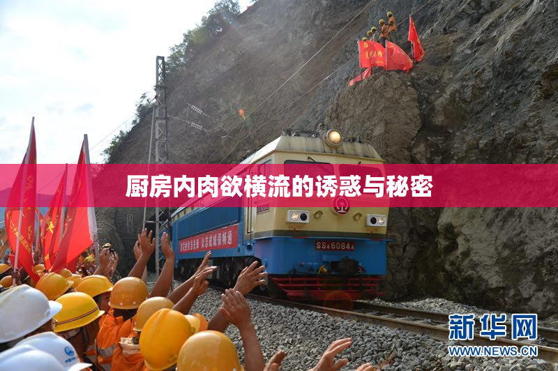 厨房内肉欲横流的诱惑与秘密
