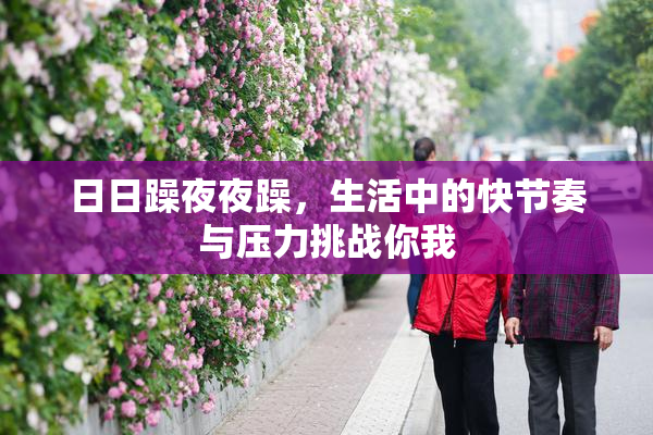 日日躁夜夜躁，生活中的快节奏与压力挑战你我