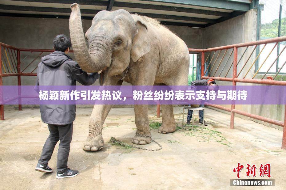 杨颖新作引发热议，粉丝纷纷表示支持与期待