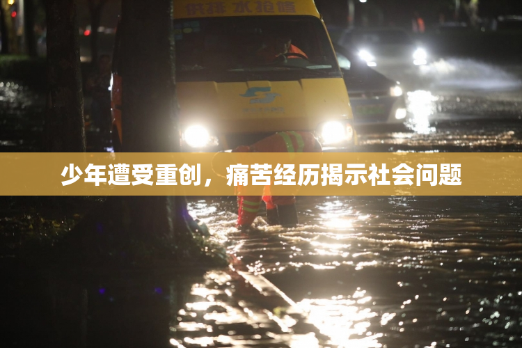 少年遭受重创，痛苦经历揭示社会问题