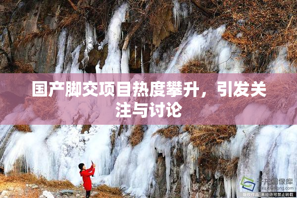国产脚交项目热度攀升，引发关注与讨论