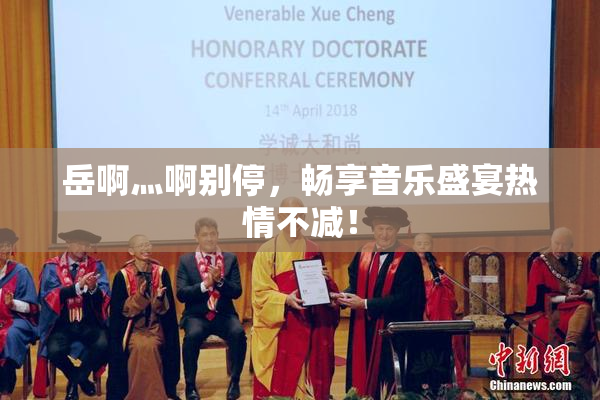 岳啊灬啊别停，畅享音乐盛宴热情不减！