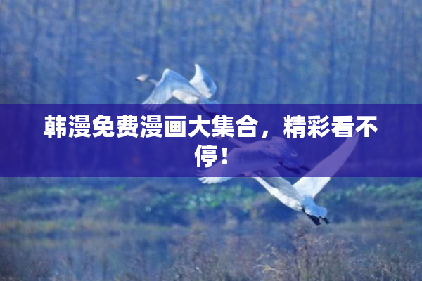 韩漫免费漫画大集合，精彩看不停！