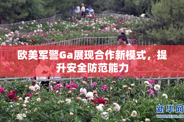 欧美军警Ga展现合作新模式，提升安全防范能力