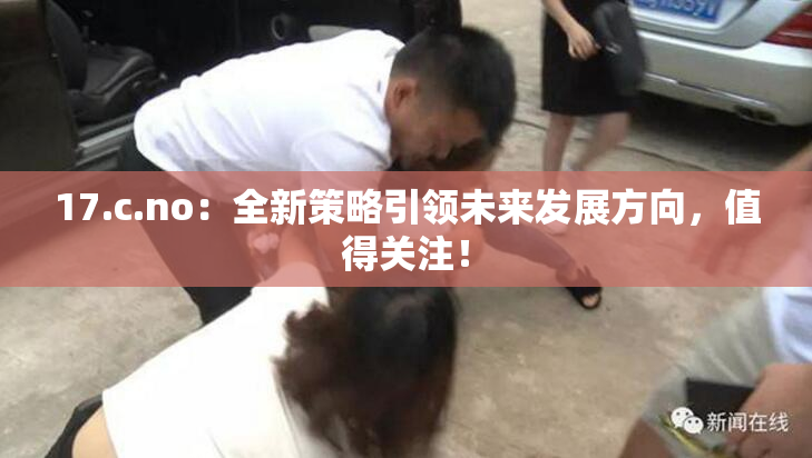 17.c.no：全新策略引领未来发展方向，值得关注！