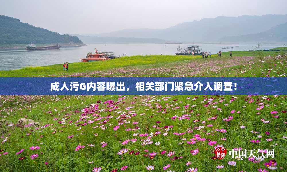 成人污G内容曝出，相关部门紧急介入调查！