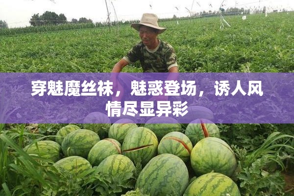 穿魅魔丝袜，魅惑登场，诱人风情尽显异彩