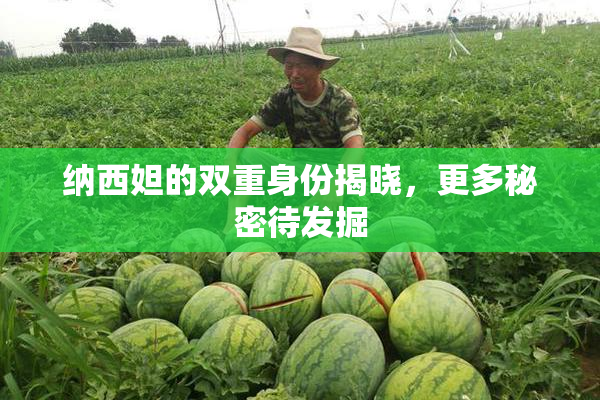 纳西妲的双重身份揭晓，更多秘密待发掘