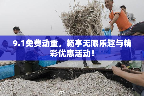9.1免费动重，畅享无限乐趣与精彩优惠活动！