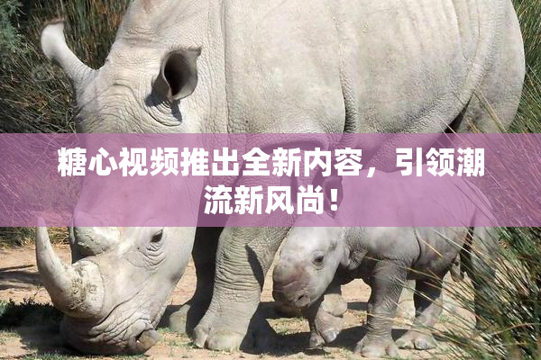 糖心视频推出全新内容，引领潮流新风尚！