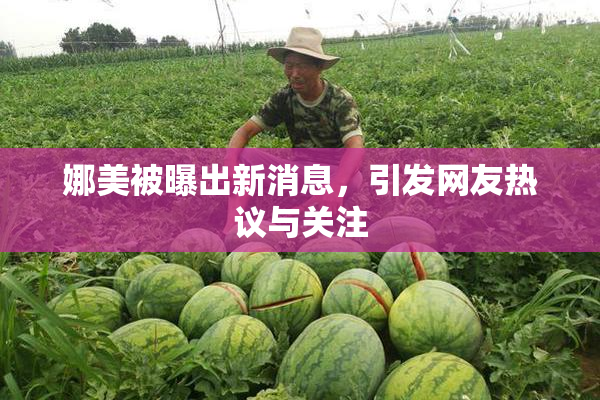 娜美被曝出新消息，引发网友热议与关注
