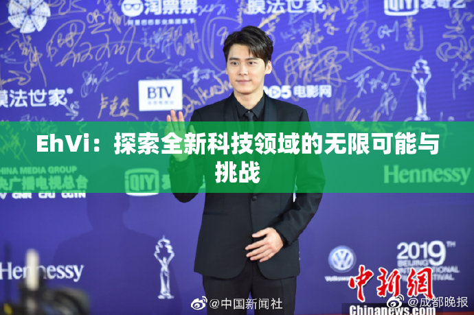 EhVi：探索全新科技领域的无限可能与挑战
