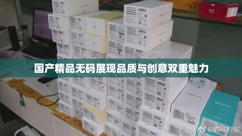 国产精品无码展现品质与创意双重魅力