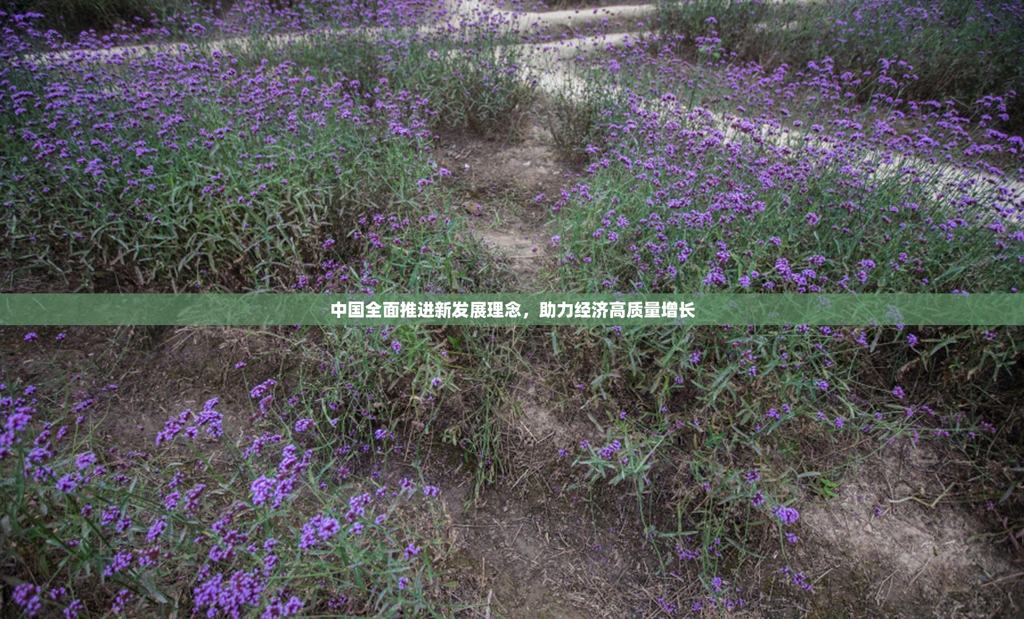中国全面推进新发展理念，助力经济高质量增长