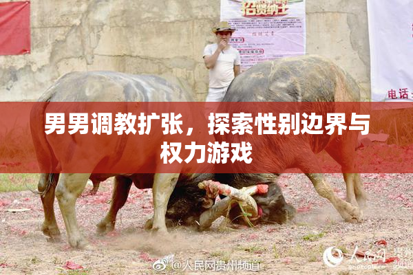 男男调教扩张，探索性别边界与权力游戏