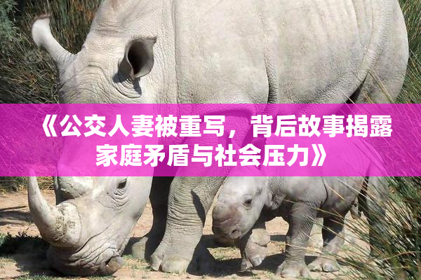 《公交人妻被重写，背后故事揭露家庭矛盾与社会压力》