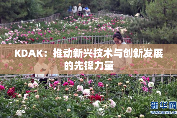 KDAK：推动新兴技术与创新发展的先锋力量